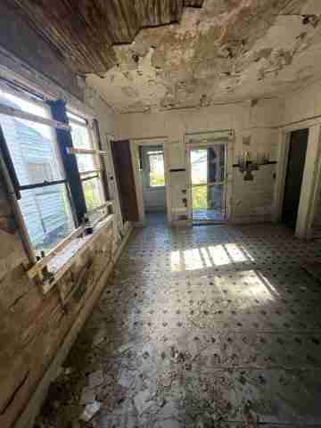 17257 bloom (31)_edited.jpg